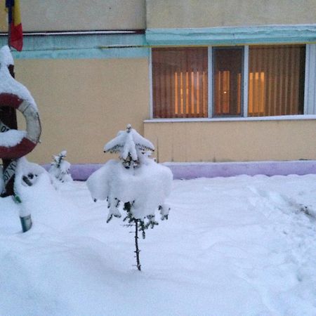 Apartament Сленік-Молдова Екстер'єр фото